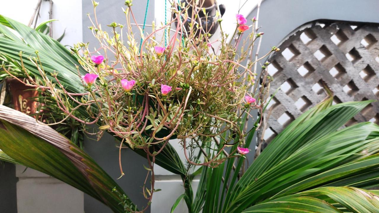Homestay Nha Muoi Quy Nhon Exterior foto